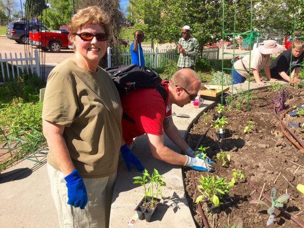 Student James and Master Gardener Betsy planted peppers