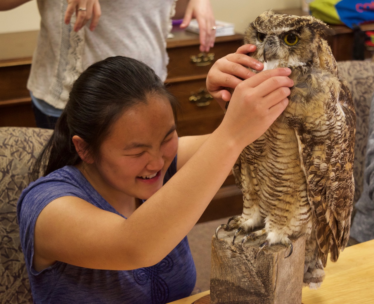 Suzi looks at a mount of a Great Horned Owl