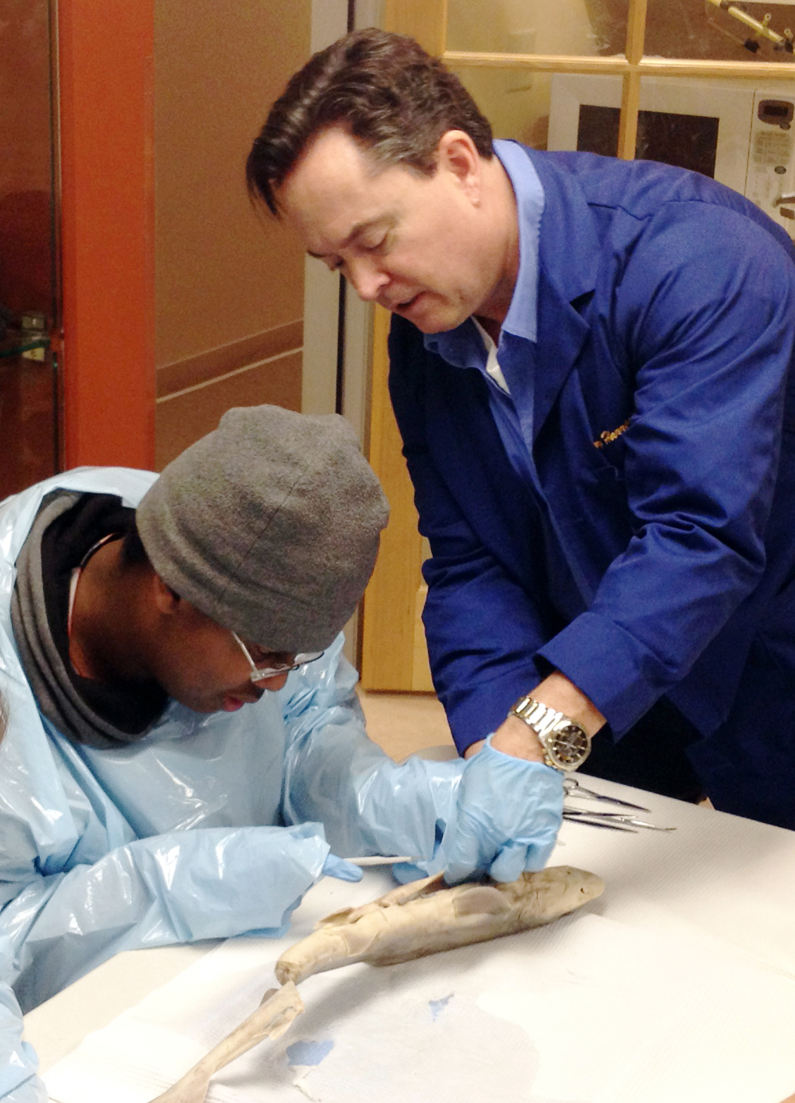 <p>It’s that time of the year. Just as we start to think about turkey and stuffing with cranberries, it’s time for blind kids in the area to get hands-on with shark innards!</p> <p>As he has for more than a decade, <a href="https://www.arapahoe.edu">Arapahoe Community College’s</a> <a href="https://www.arapahoe.edu">Biology Professor Terry Harrison</a> will lead a shark dissection at CCB on Friday, November 18. Harrison has partnered with CCB to ensure that blind kids in Colorado get actual experience in this one aspect of the STEM fields (Science, Technology, Engineering and Math). Participants will handle the scalpels, determine sex, examine the lungs, liver and those sharp little dog shark teeth.</p> <p>Start time is 10 a.m. on Friday and wraps up at 1 p.m. following pizza (no anchovies).</p> <p>Students, teachers, or parents can contact Youth Services Director Brent Batron for more information or to reserve a spot – after all, there are only going to be so many sharks!</p>
